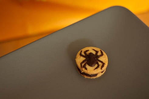 Spider Biscuit